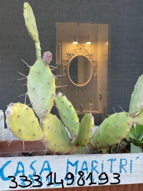 Hotel Casa Maritri Locazione Turistica Marzamemi Exterior foto